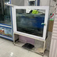 آکواریوم شیشه ده میل