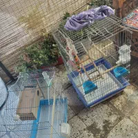 قفس|لوازم جانبی حیوانات|تهران, امیریه|دیوار