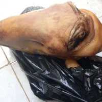 تمیز کردن کله پاچه پاچه گاو دراسرع وقت ۳سوت