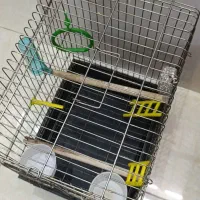 قفس بزرگ کاسکو و عروس با تمام تجهیزات