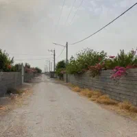 باغ و باغچه