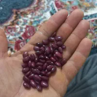 لوبیاقرمزدرجه ۱
