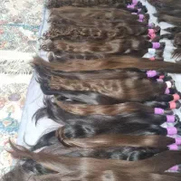 کوتاهی مو ها ی بلند بانوان در جیرفت میلیونی