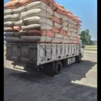 کاه درجه ۱ یک گندم دار تحویلی ۱۴۵۰۰|لوازم جانبی حیوانات|تربت جام, بسیجیان|دیوار