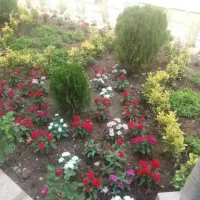 خدمات باغبانی باغچه کاری گلکاری هرسکاری گل وگیا|خدمات باغبانی و درختکاری|کرج, گلشهر|دیوار