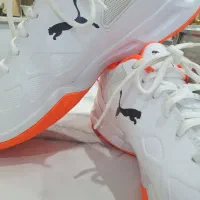 کفش اورجینال