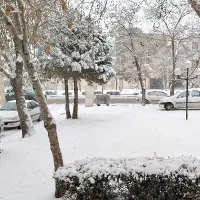 فروش شرکت تولیدی مواد غذایی لبنی