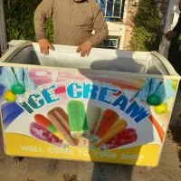 یخچال صندوقی