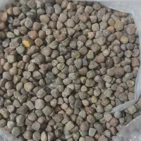 گرگرودرجه یک  برای فروش