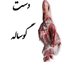 فروش کلی و جزئی گوشت قرمز دامی گوسفند و گوساله|خوردنی و آشامیدنی|مشهد, مقدم|دیوار