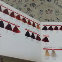 کاتالوگ رنگ مو|آرایشی، بهداشتی، درمانی|تربتحیدریه, باغ ملی|دیوار