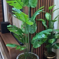 تولیدکننده درختچه مصنوعی وارداتی لمسی چرمی