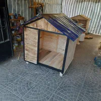 قفس چوب نراد روسی|لوازم جانبی حیوانات|خرمآباد (تنکابن), |دیوار