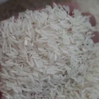 برنج فجر ۹۰ روزه سوزنی|خوردنی و آشامیدنی|علی‌آباد کتول, |دیوار