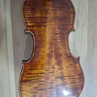 ویولن ویلن ویولون|ویولن|شیراز, شریفآباد|دیوار