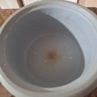 پلوپز با جا ربی|اجاق گاز و لوازم برقی پخت‌وپز|گرگان, |دیوار