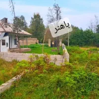 200-متر-مستقل-ویو-جنگل-با-سند-تک-برگ