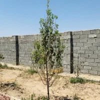 172متر باغچه‌ نقلی/نقشه UTM/معاوضه با انواع خودرو|فروش زمین و ملک کلنگی|شهریار, فرارت|دیوار