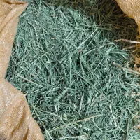گونی یونجه