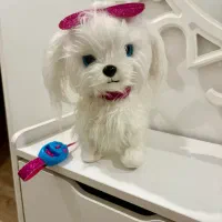 راکر اسب انگلیسی و اسباب بازی|اسباببازی بچه|کرج, کوی کارمندان جنوبی|دیوار