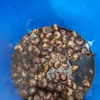 حراج کلیه اجناس|حراج|ابهر, |دیوار