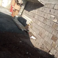 باربند پیکان وانت کاملا سالم|قطعات یدکی و لوازم جانبی|سیلوانه, |دیوار