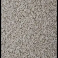 فروش برنج فجر
