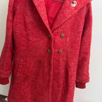 تعدادی پالتو