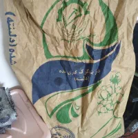 بذر پنبه گلستان