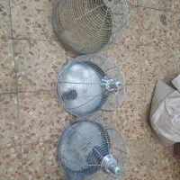 قفس|لوازم جانبی حیوانات|شهرکرد, |دیوار