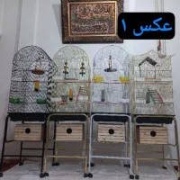 قفس عروس هلندی گرینچیک خرگوش کوتوله ملنگو سرلاک