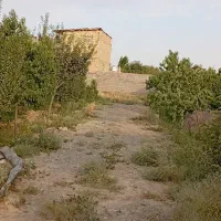 500متر زمین دور دیوار|فروش زمین و ملک کلنگی|مشهد, میان ولایت|دیوار