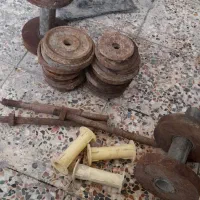 دنبل و هالتر