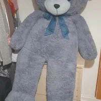 عروسک خرسی|اسباببازی|رشت, نیکمرام|دیوار