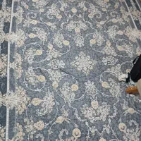 روفرشی کش دار