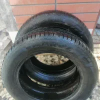 دو حلقه لاستیک بارز