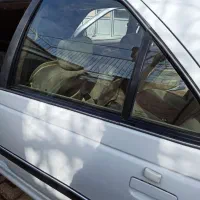 فروش پژو پارس سال صفر کیلومتر دوگانه سوز|خودرو سواری و وانت|زنجان, |دیوار