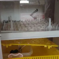 دستگاه جوجه کشی ۴۲تایی