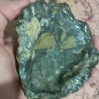 فسیل صدف خیلی قدیمی|کلکسیون اشیاء عتیقه|خرم‌آباد, |دیوار