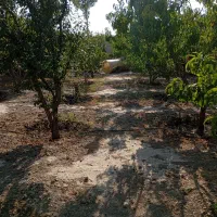 باغ-900-متری-سند-تکبرگ