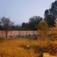 زمین شهرکی رو به جنگل با سند تک برگ شخصی داخل بافت