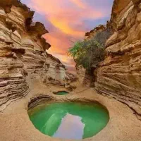 تور زیارتی مشهدمقدس/قشم وکیش|تور و چارتر|تهران, گاندی|دیوار