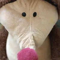 جوجه تیغی (عروسک خارجی)|اسباب‌‌بازی|مشهد, تربیت (صدف)|دیوار