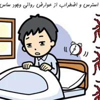 شرکت سمپاشی نمونه بندر|خدمات نظافت|بندرعباس, |دیوار