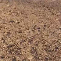 زمین-سمت-گشویی