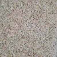 برنج لنجون درجه یک خوشبو خوشطعم و خوشپخت|خوردنی و آشامیدنی|یاسوج, |دیوار