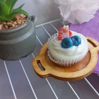 شمع های سبک خوراکی|صنایع دستی و سایر لوازم تزئینی|ماهان, |دیوار