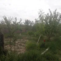 باغ|فروش خانه و ویلا|گلبهار, نوبهار|دیوار