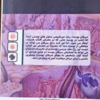 کتاب|کتاب و مجله آموزشی|تهران, امیریه|دیوار