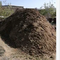 فروش کود گاوی